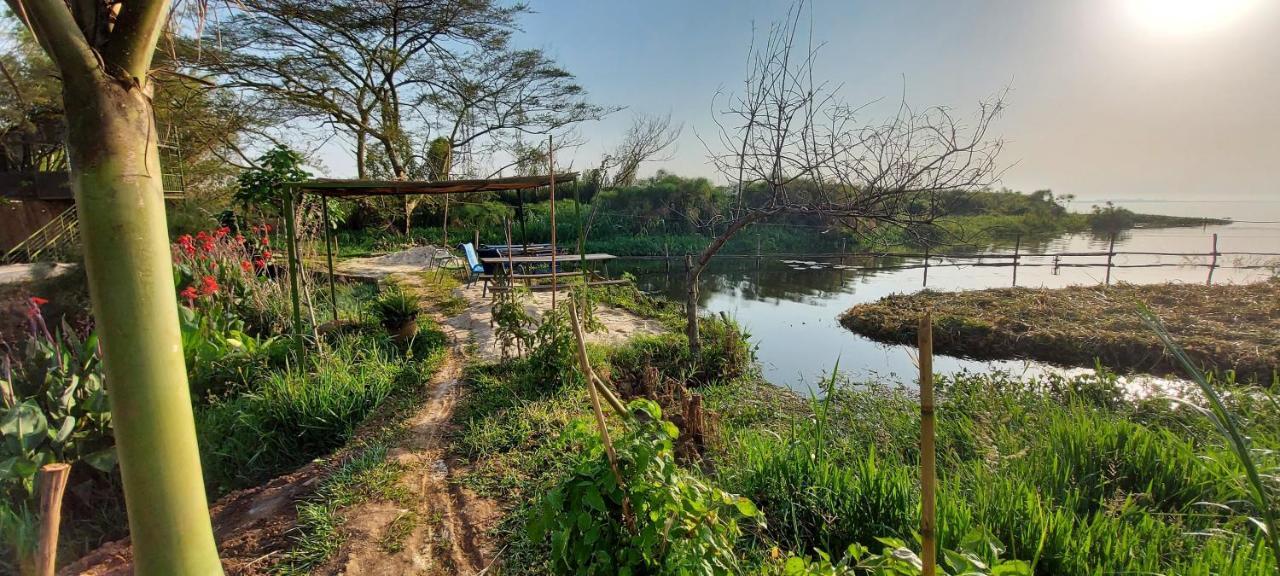 Yellow Haven Lodge Кампала Екстер'єр фото