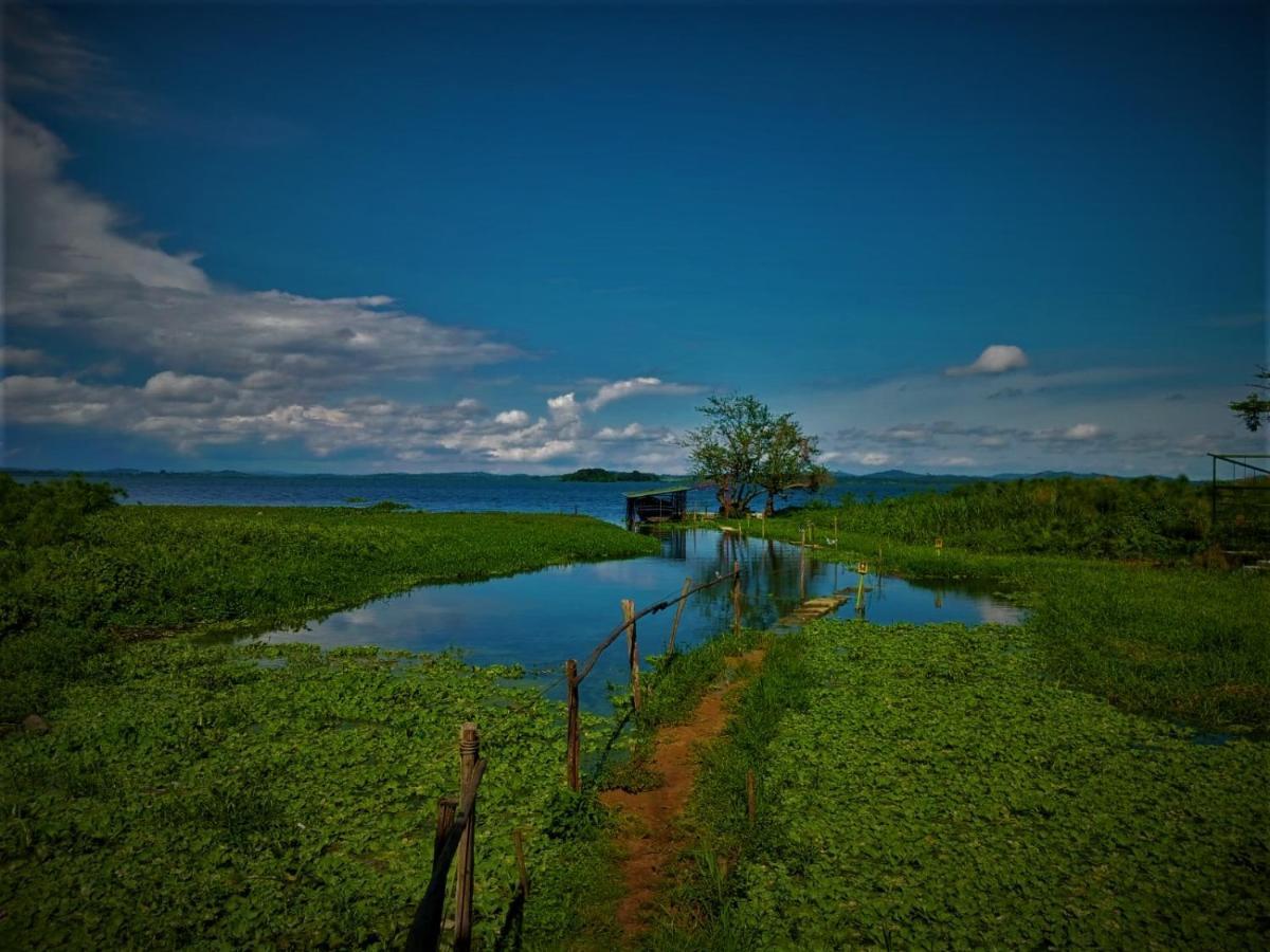 Yellow Haven Lodge Кампала Екстер'єр фото