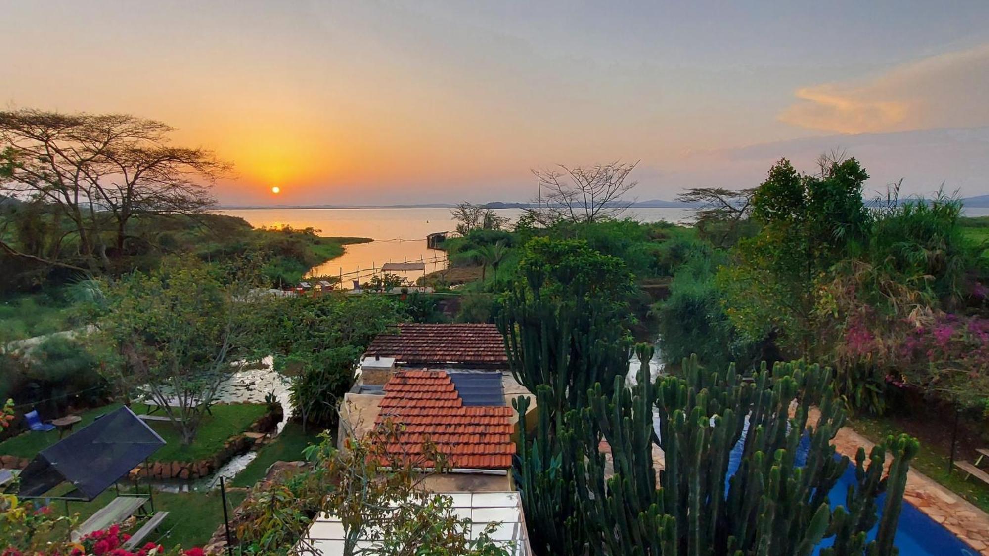 Yellow Haven Lodge Кампала Екстер'єр фото