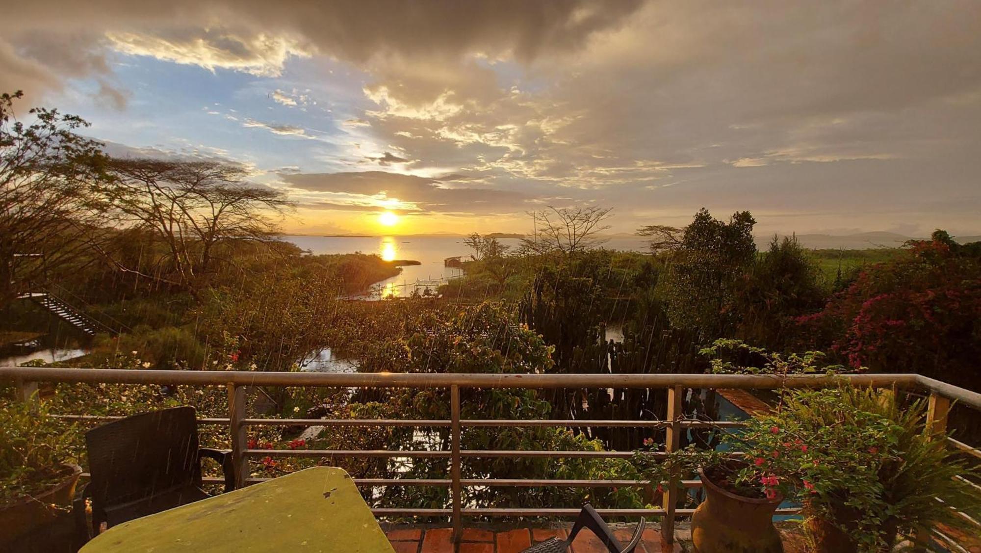 Yellow Haven Lodge Кампала Екстер'єр фото